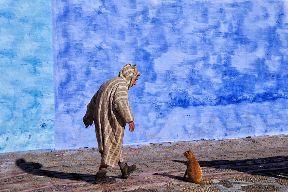 A man talking with a cat von Giovanni Cavalli