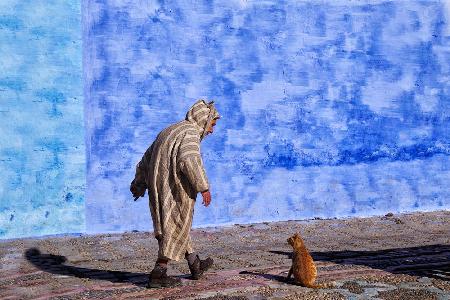 A man talking with a cat