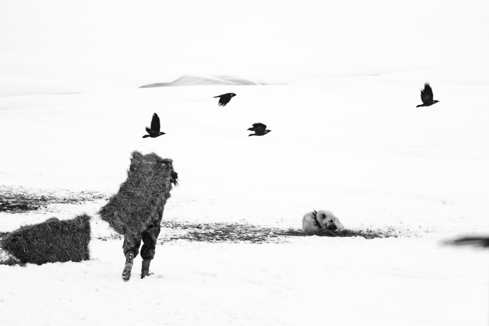 worker von giraykocaman