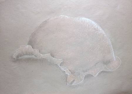 Lose Blattsammlung LBS_005