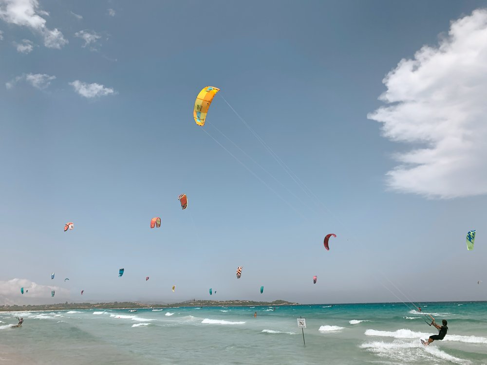 A FLOCK CHOREOGRAPHY von Giulio Mennini