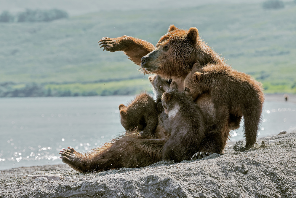 Acrobatics von Giuseppe DAmico