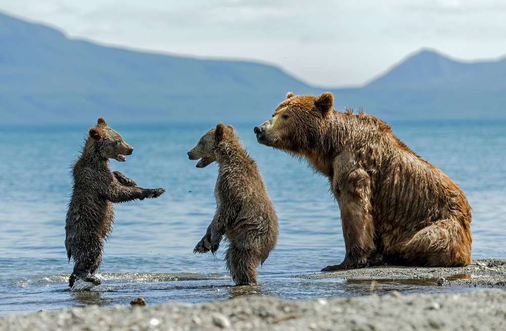 On the beach von Giuseppe DAmico