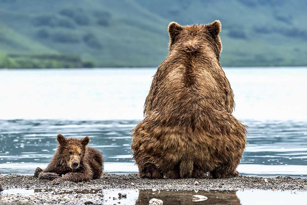 Gegensätze von Giuseppe DAmico