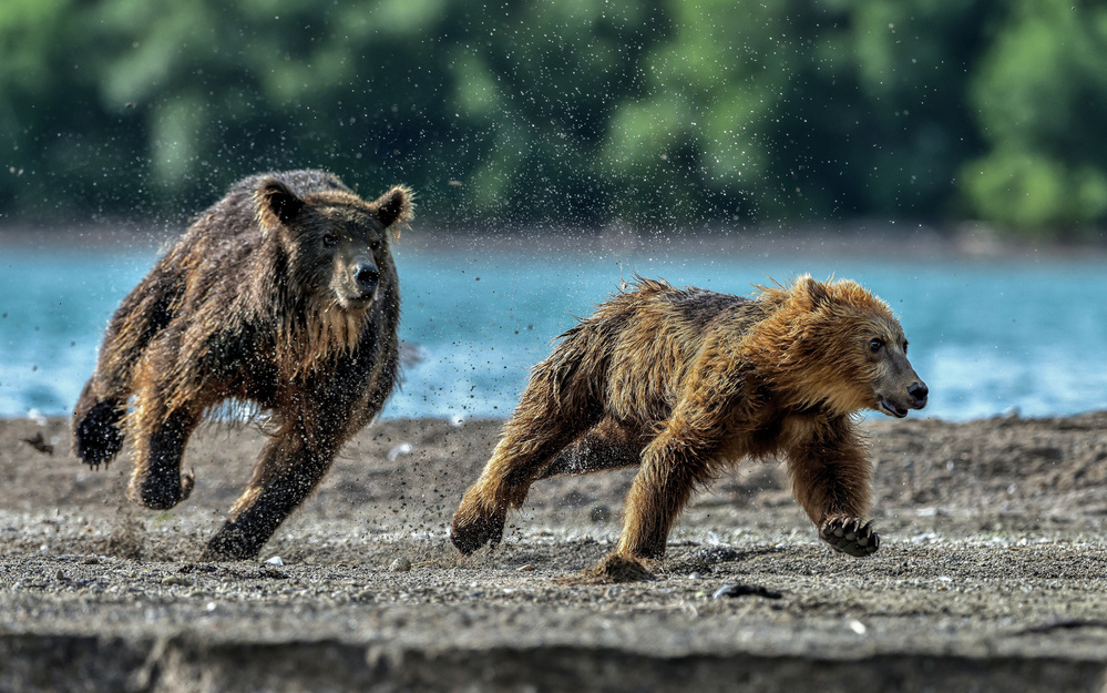 Sprint von Giuseppe DAmico