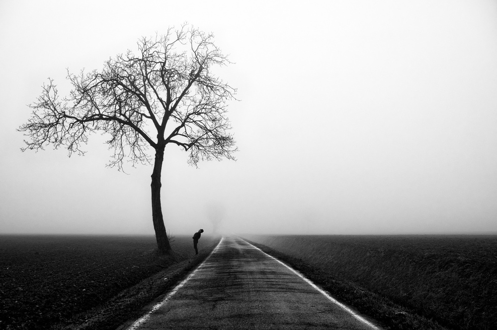 Talk von Giuseppe Galli