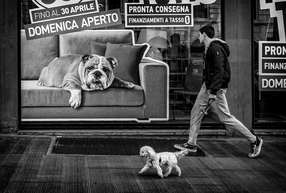 Comfy von Giuseppe Grimaldi