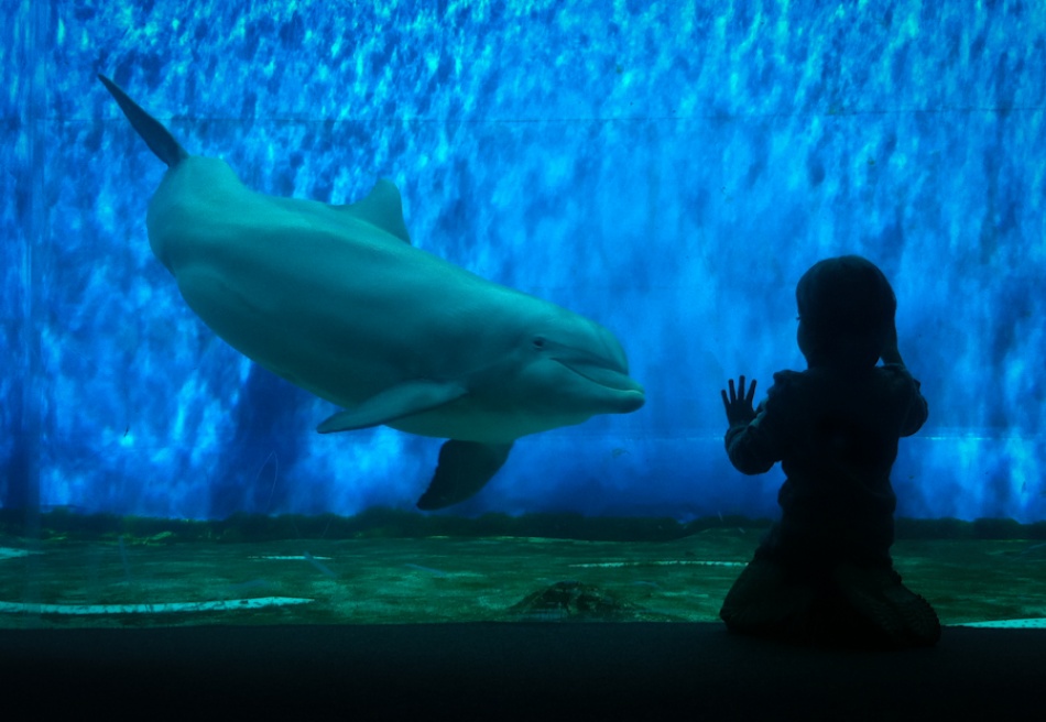 I\'ll miss you ! von giuseppe maiorana