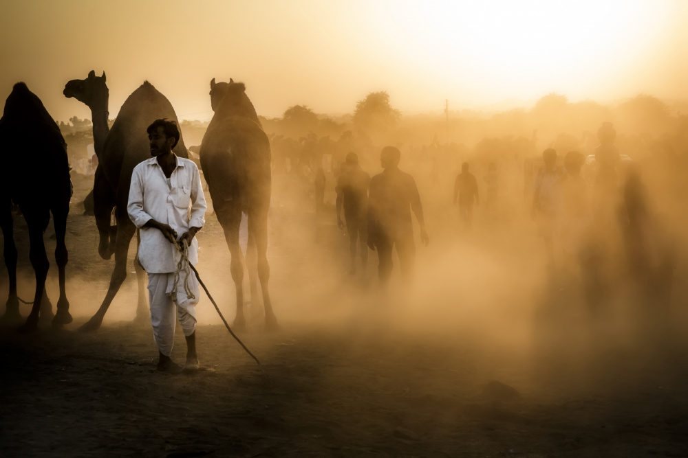 Mercato dei cammelli a Pushkar von Gloria Staffa