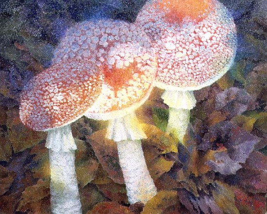 The Green Man with Stinkhorns, 1996  von Glyn  Morgan