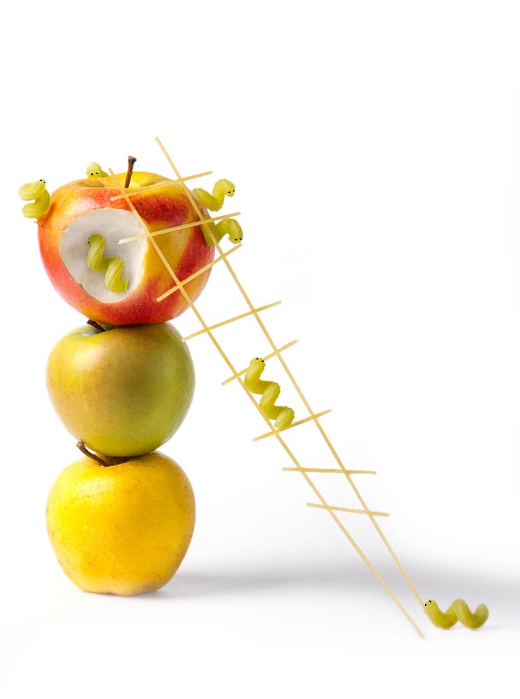 Raupen von Golubeva Nataly