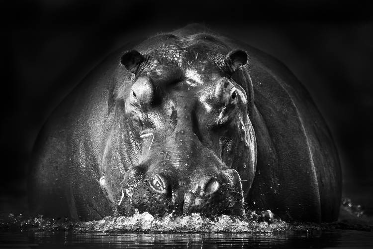 POWER von Gorazd Golob