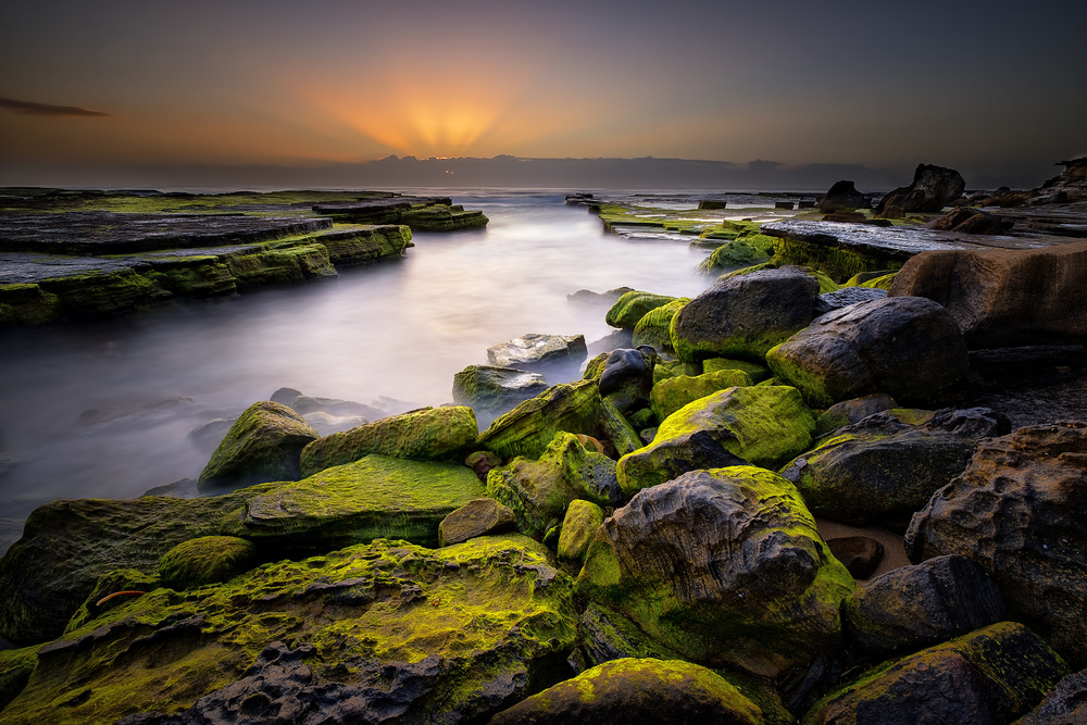 Turimetta green von Graeme