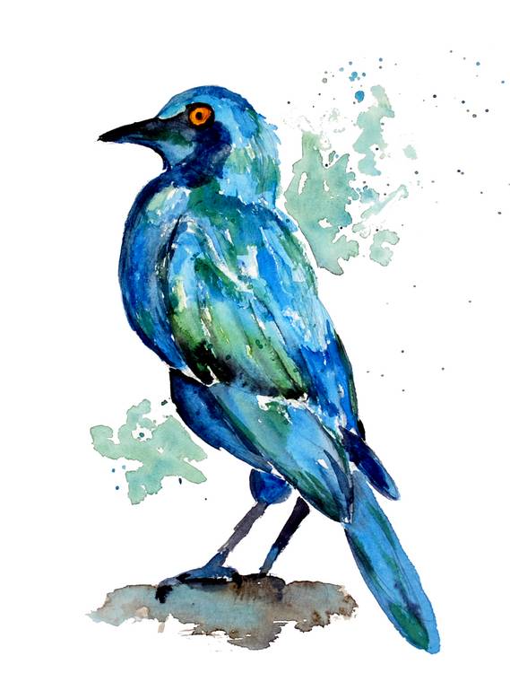 Kleiner türkiser Vogel von Sebastian  Grafmann