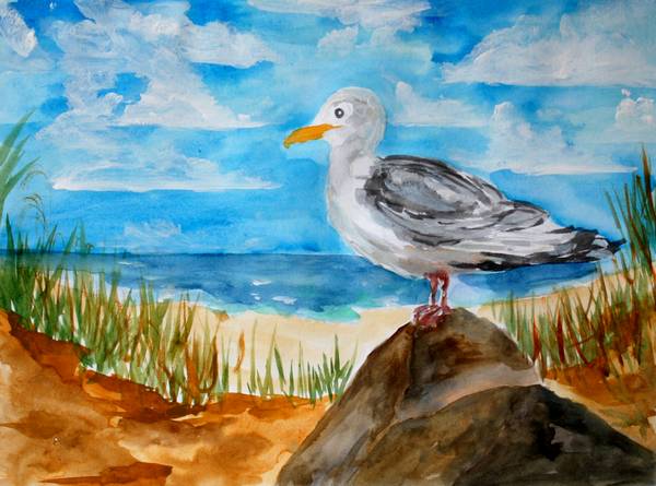 Möwe am Strand von Sebastian  Grafmann