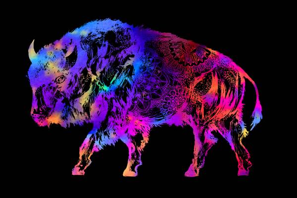 Rainbow Buffalo on Black von Sebastian  Grafmann