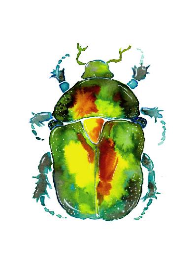 Goldener Rosenkäfer 2020