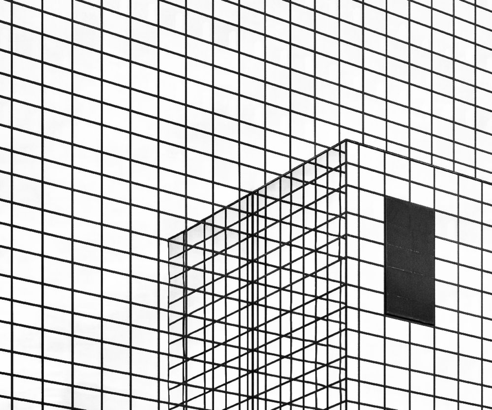 Das schwarze Flugzeug von Greetje Van Son