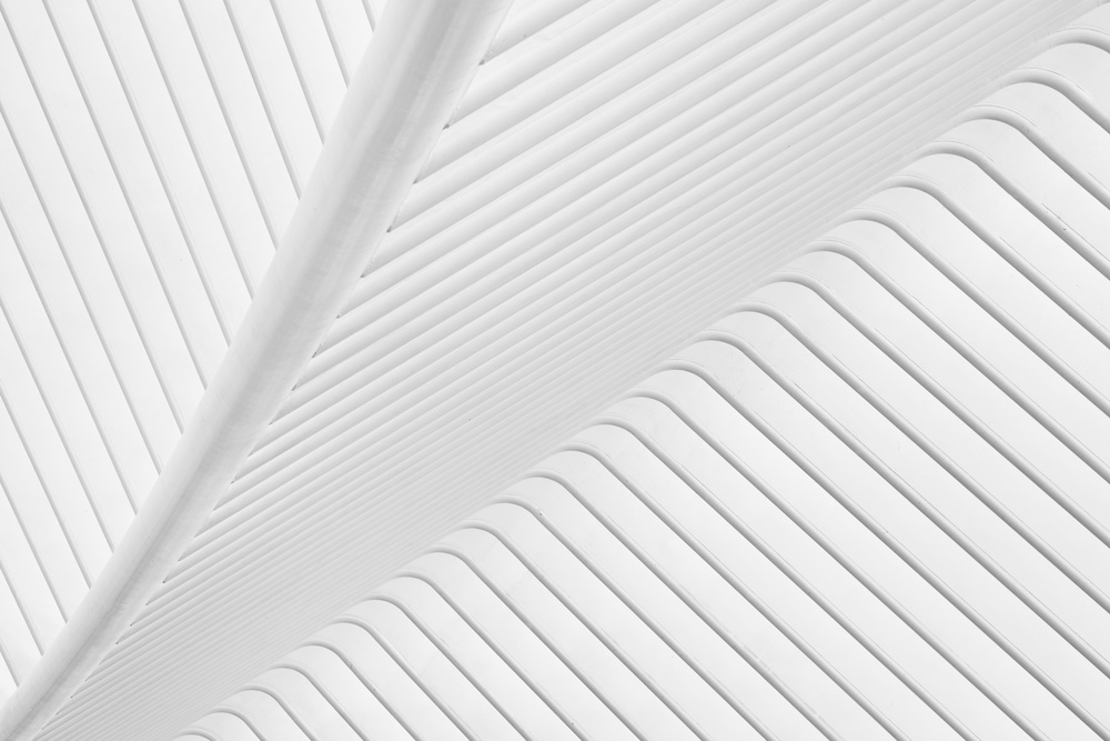 Feather construction von Greetje Van Son