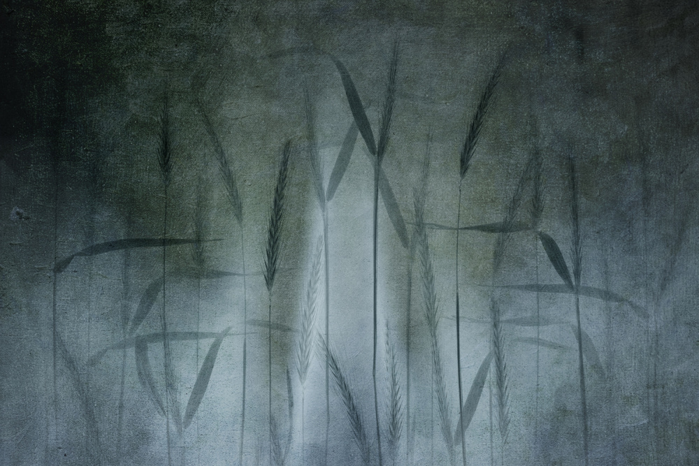 Grain in soft blue von Greetje Van Son