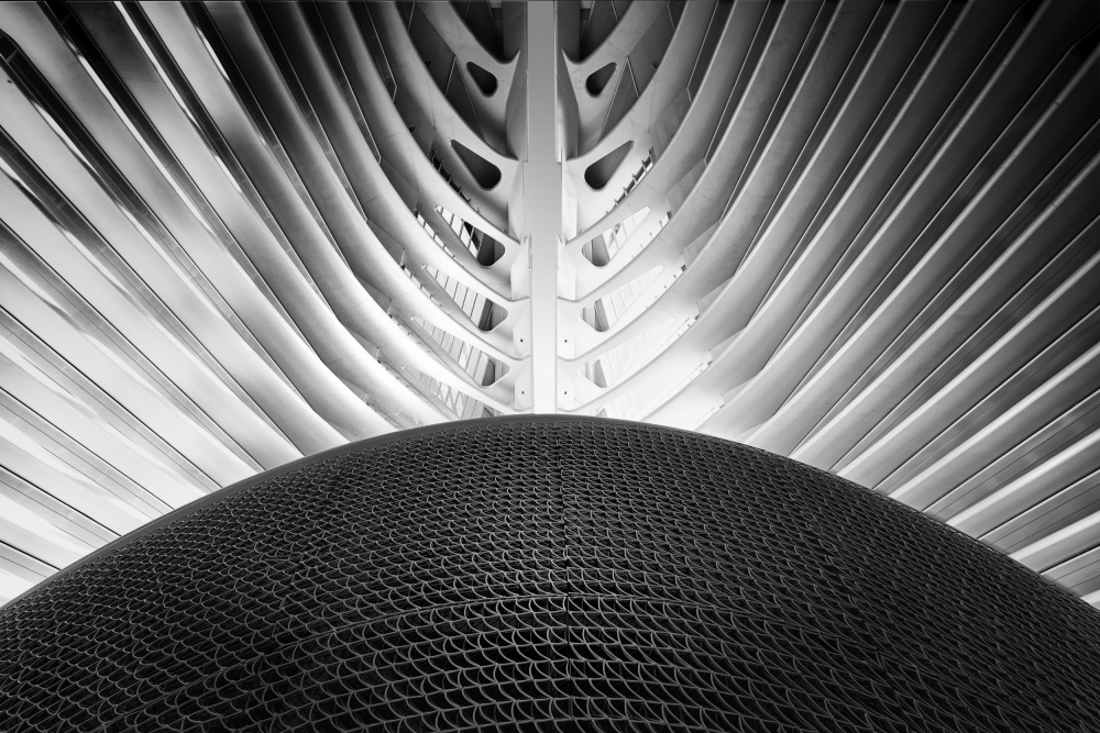 From the center von Greetje Van Son