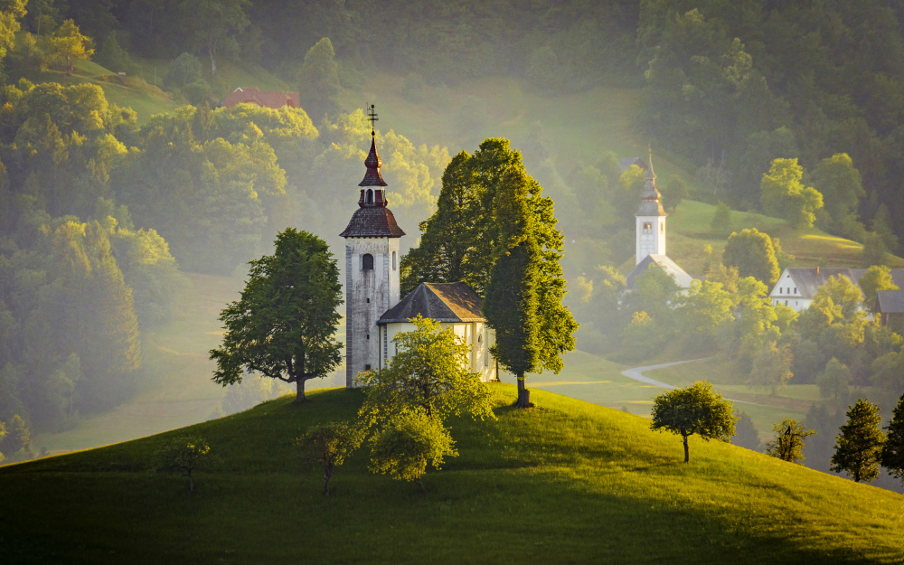 Tommy and Valentine von Gregor Kresal