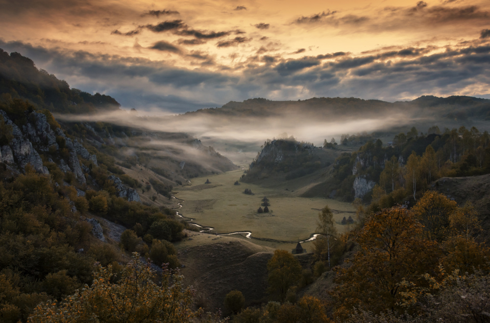 Gods Palm von Grigore Roibu