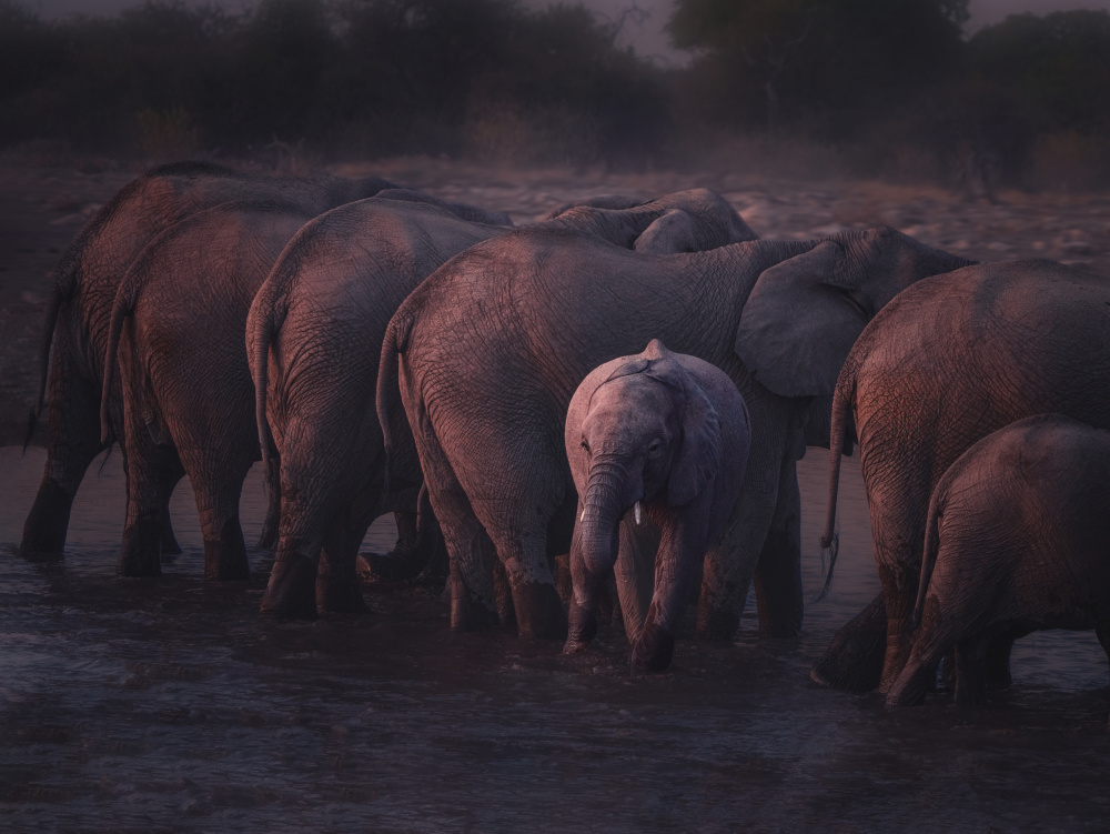Alone Turning Around von Gu and Hongchao