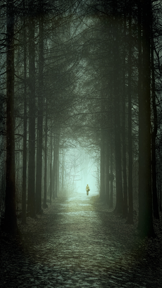 Tree Path von Gu and Hongchao