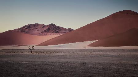 Sand dune in Namibia