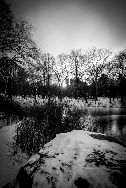 Central Park Winter Lake von Guilherme Pontes