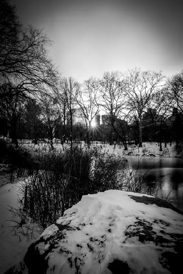 Central Park Winter Lake