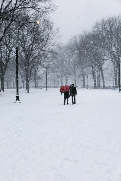 Central Park Winter Lovers von Guilherme Pontes