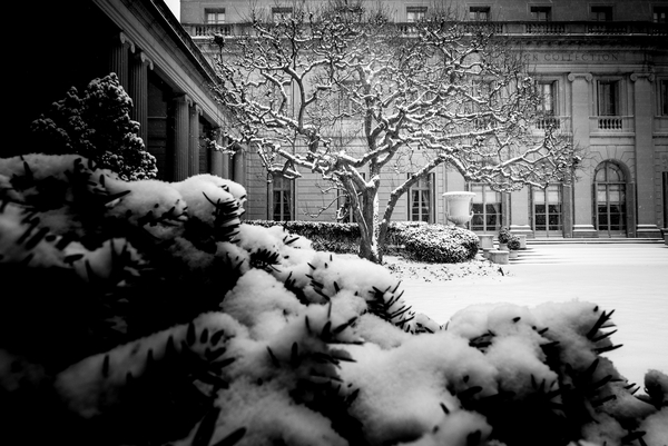 Frick Collection Winter N¬∫3 von Guilherme Pontes