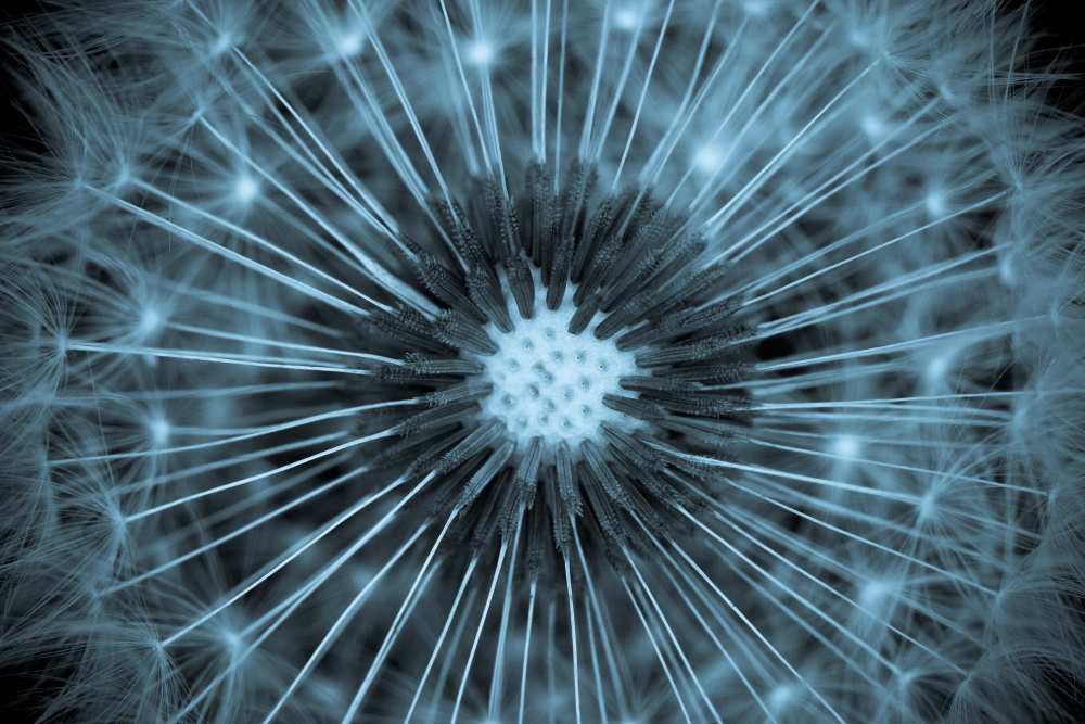 (o) von Guillaume Legraverend