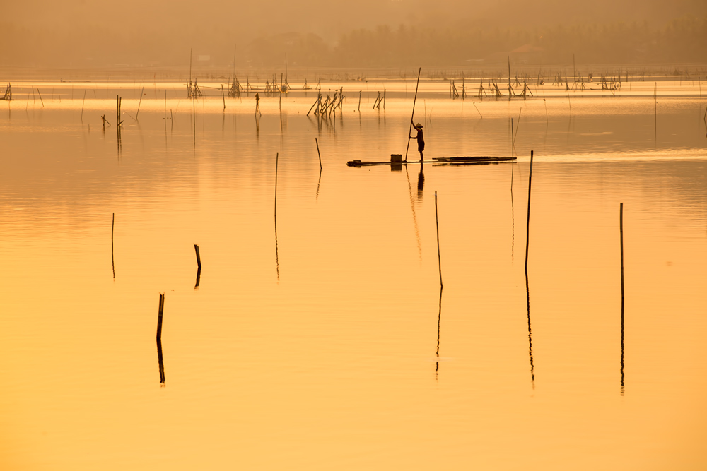 Working in The SunLight von Gunarto Song