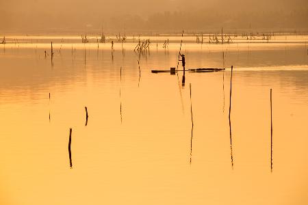 Working in The SunLight