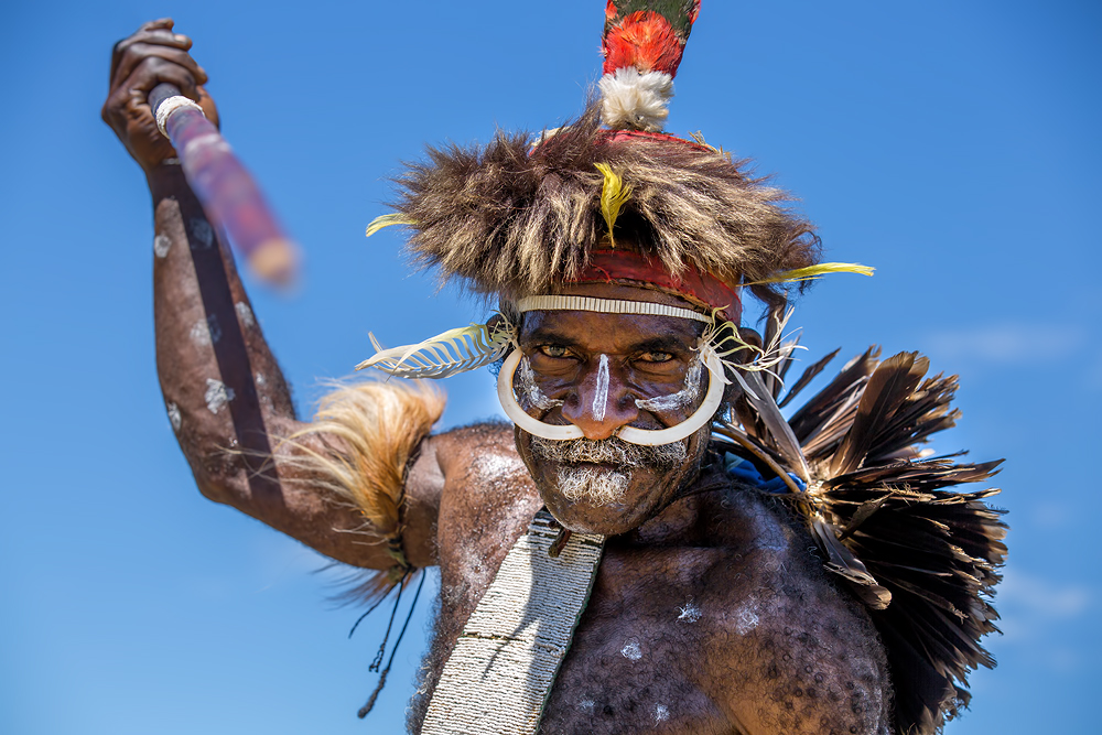 Jungleman von Gunarto Song