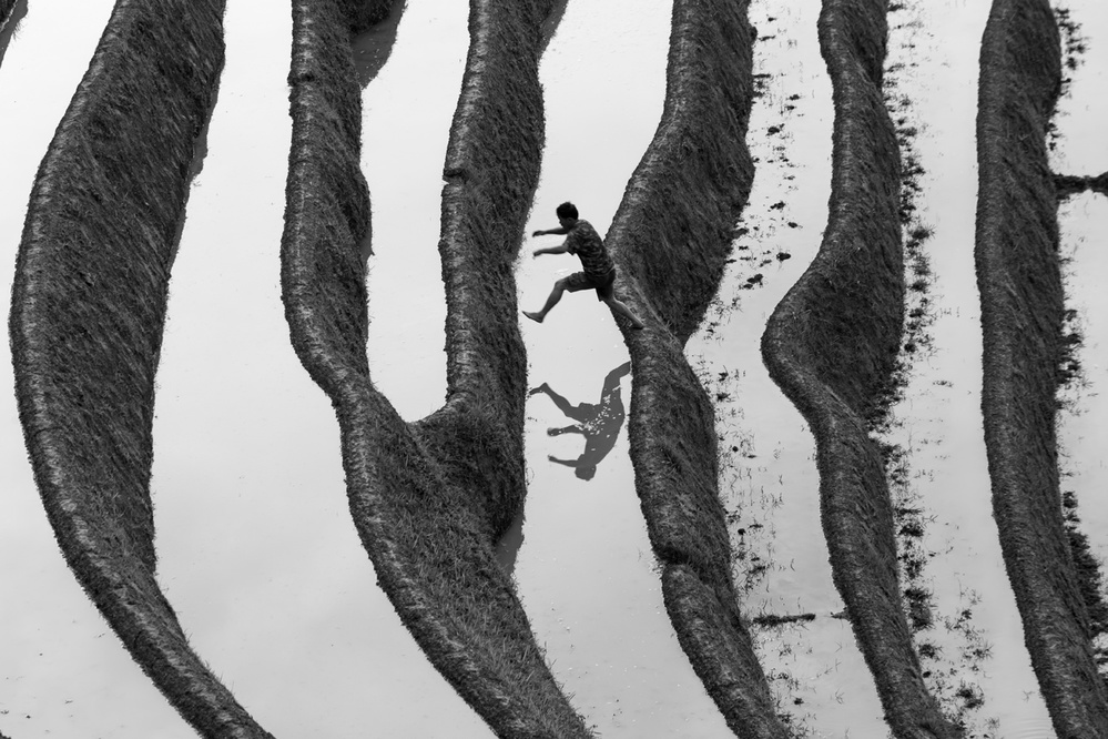 Crossing von Gunarto Song