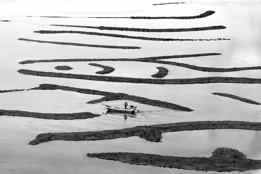 Like a Fish von Gunarto Song