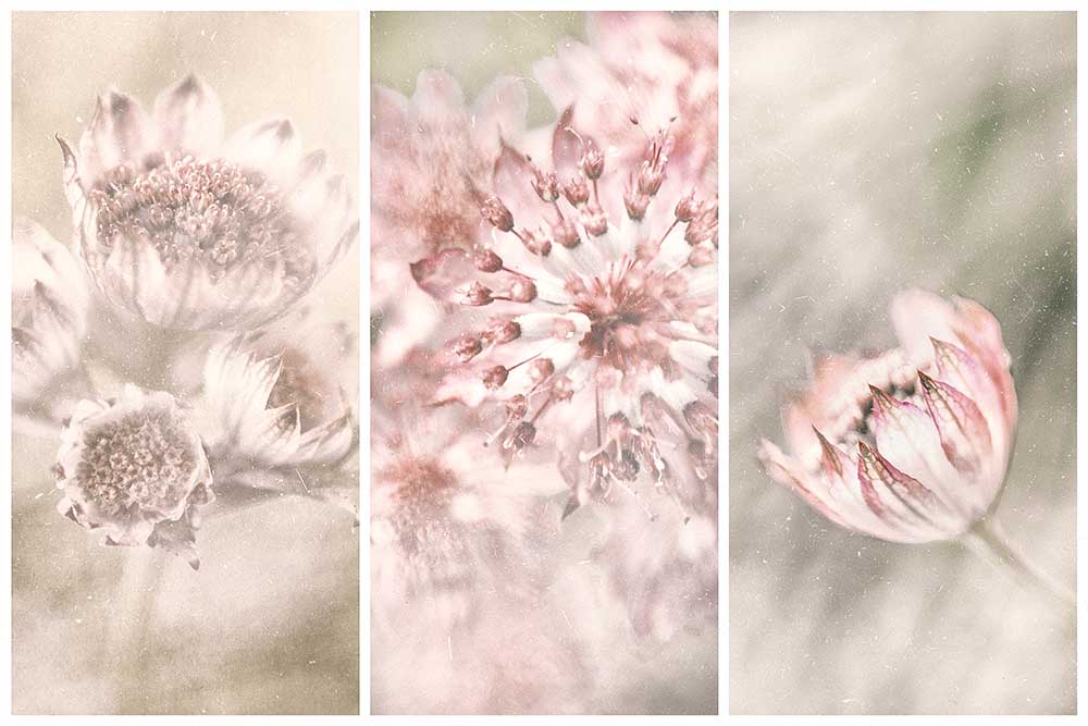 Ohne Titel von Gustav Davidsson