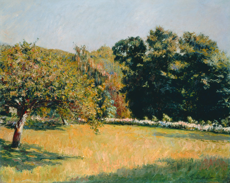 Ein Garten in Trouville von Gustave Caillebotte