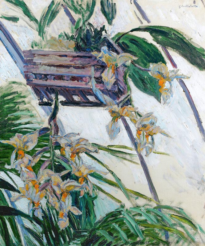 Orchids von Gustave Caillebotte