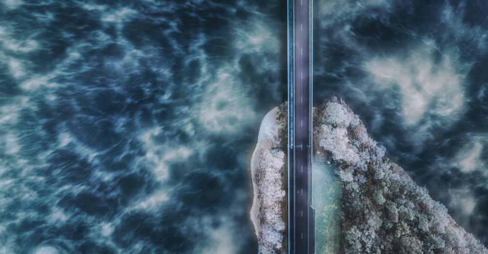 the bridge von Guy Krier