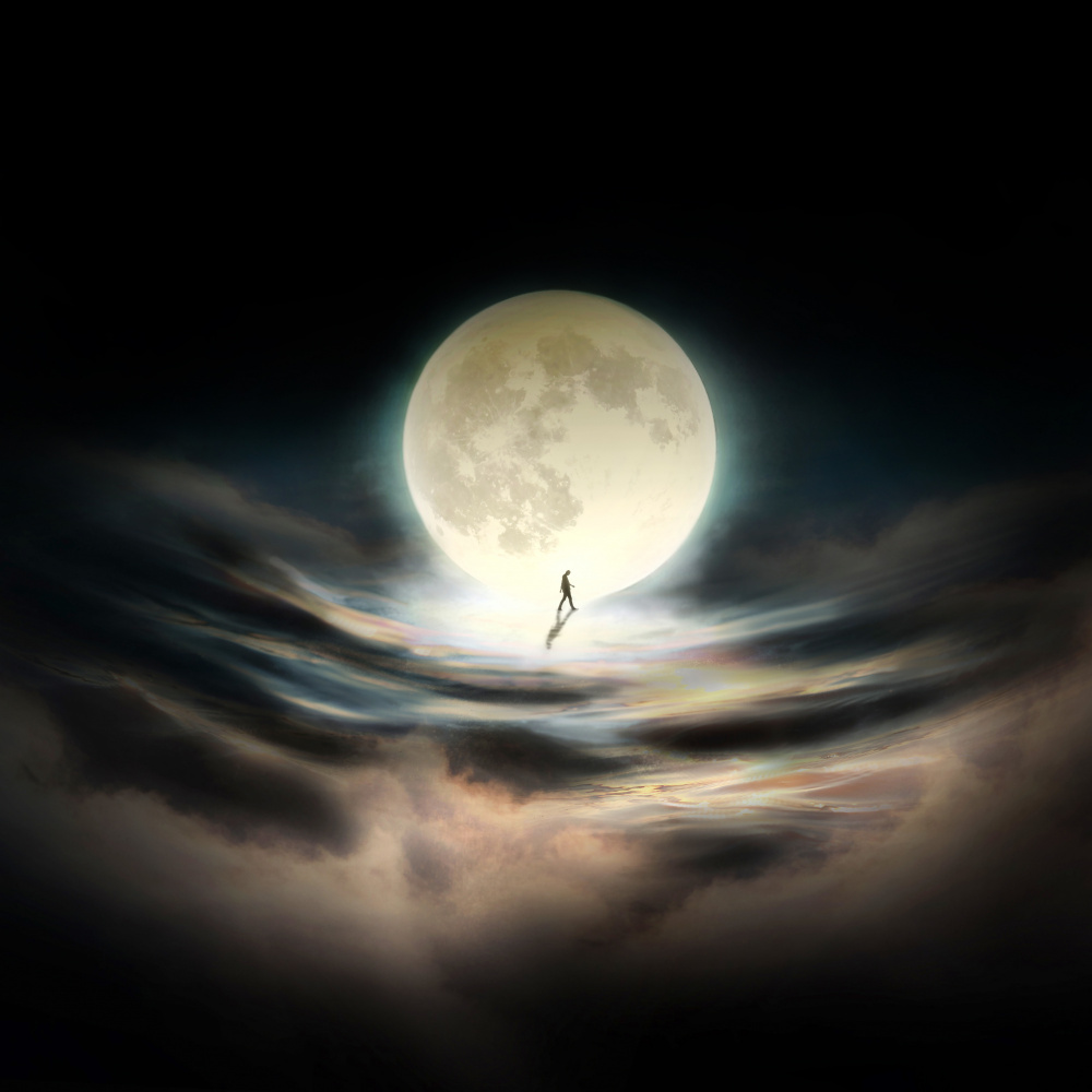 Its Not Too Late || von Hadi Malijani