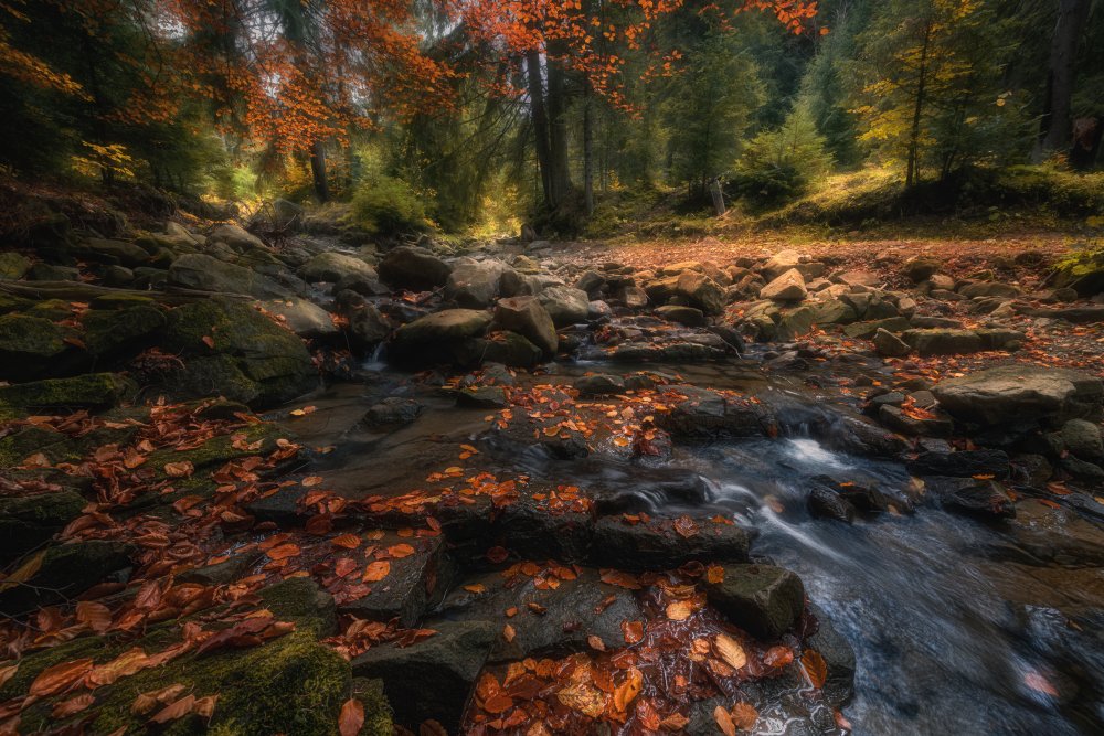 Autumn von Haim Rosenfeld