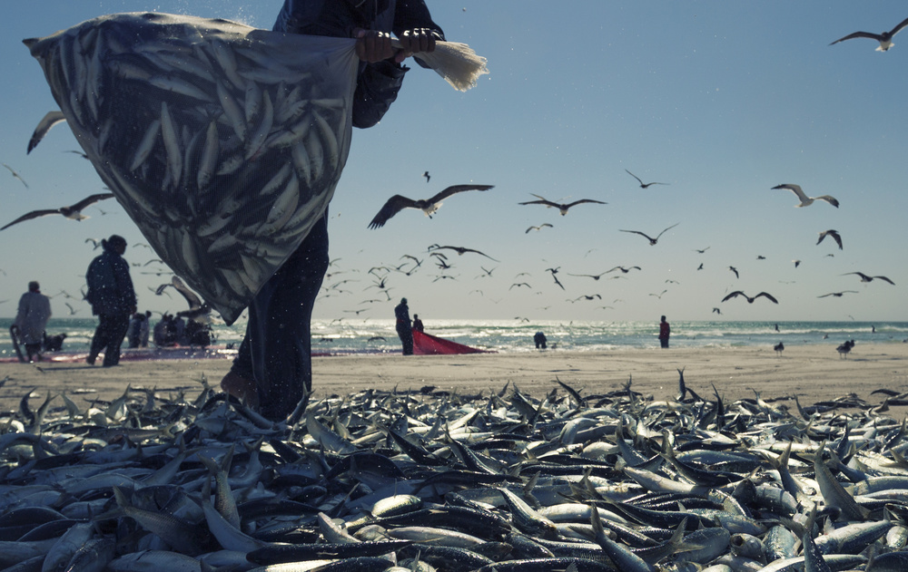 fishing von Haitham AL Farsi