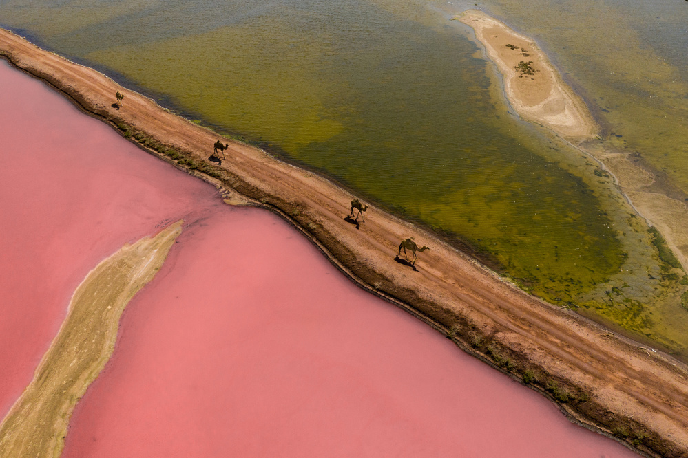 Pink Lake von Haitham AL Farsi