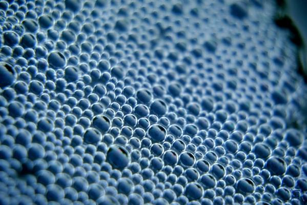 blasen von Hajue Wagner