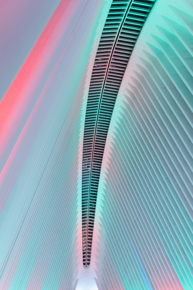 Christmas in the Oculus von Hal Li